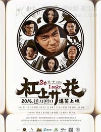 [杠上开花][HD-1080P-MP4][国语中字][1.76GB][2016]