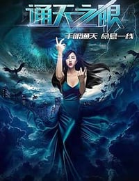 [通天之眼][HD-720P-MP4][国语中字][737MB][2016]