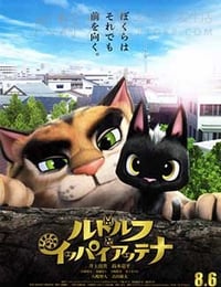 [黑猫鲁道夫][BD-720P-MP4][国日双语中字][豆瓣6.2分][2.53GB][2016]