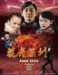 [花开莱州][HD-2160P-MKV][国语中字][3.96GB][2017]