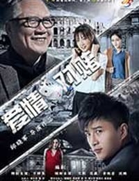 [爱情对赌][HD-1080P-MP4][国语中字][1.86GB][2017]