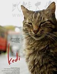 [伊斯坦布尔的猫][HD-720P-MP4][土耳其语中字][豆瓣8.6分][847MB][2016]