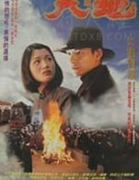 [天与地][HD-720P-MKV][国粤双语中字][豆瓣7.1分][1.9GB][1994]