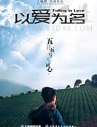 [以爱为名][HD-1080P-MKV][国语中字][1.27GB][2017]