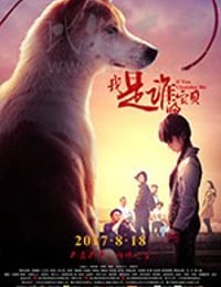 [我是谁的宝贝][HD-1080P/2160P-MKV][国语中字][1.1GB/3.46GB][2017]