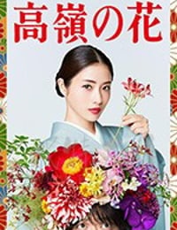 高岭之花/豆瓣6.4分/2018/全集