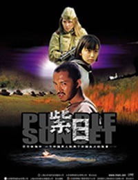 [紫日][HD-1080P-MP4][国语中字][豆瓣8.2分][3.09GB][2001]