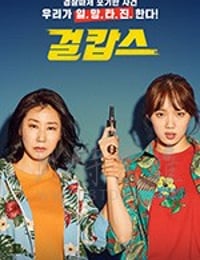 [女警][BD-720P/1080P-MP4][韩语中字][豆瓣6.8分][2.05GB/4.32GB][2019]