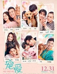 [宠爱][HD-1080P-MP4][国语中字][豆瓣6.1分][2.26GB][2019]