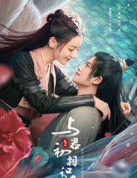 2022年国产大陆电视剧《与君初相识》全42集