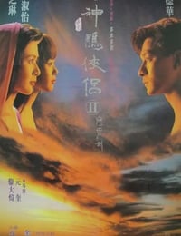 1992年中国香港经典奇幻片《九二神雕之痴心情长剑》HD国语中字