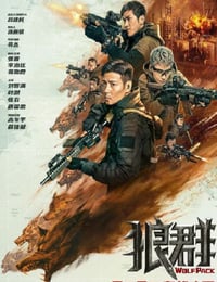 2022年国产6.1分动作战争片《狼群》4K国语中字