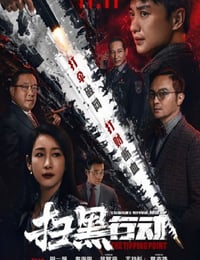 2022年国产动作犯罪片《扫黑行动》HD国语中字