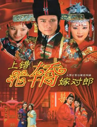 2001年国产大陆电视剧《上错花轿嫁对郎》全20集