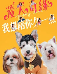 2023年国产爱情片《爱犬奇缘》HD国语中字