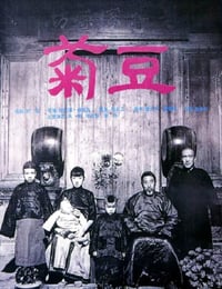 1990年国产经典剧情片《菊豆》蓝光国语中字