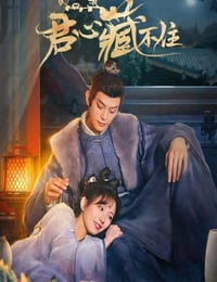 2023年国产大陆电视剧《君心藏不住》全24集