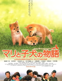 2007年日本经典剧情片《爱犬的奇迹》蓝光日语中字