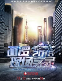 2018年国产大陆纪录片《巡逻现场实录2018》全12集