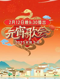 2025年国产真人秀《2025安徽卫视元宵晚会》HD国语中字