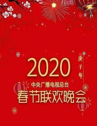 2020年国产真人秀《2020年中央电视台春节联欢晚会》HD国语中字