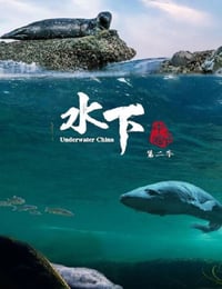 2024年国产大陆纪录片《水下中国 第二季》全6集