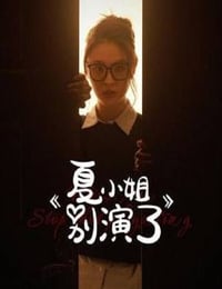 2025年国产大陆电视剧《夏小姐别演了》全17集