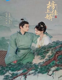 2025年国产大陆电视剧《榜上佳婿》连载至14