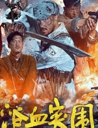 2025年国产战争片《浴血突围》HD国语中字
