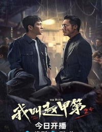 2025年国产大陆电视剧《我叫赵甲第2》连载至09