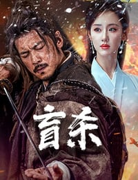 2025年国产动作片《盲杀》HD国语中字