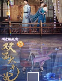2022年国产古装爱情片《双面太子妃》HD国语中字