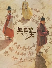 2019年韩国电视剧《绿豆花》全24集