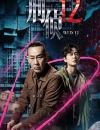 2025年中国香港电视剧《刑侦12》连载至17