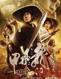 2011年国产经典武侠动作片《龙门飞甲》蓝光国粤双语中字