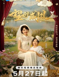 2025年国产大陆电视剧《望母成凤》连载至08