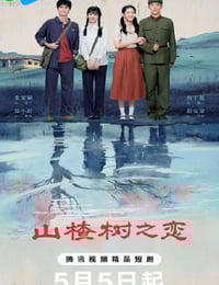 2025年国产大陆电视剧《山楂树之恋》连载至12