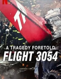 2025年美国纪录片《悲剧预言：巴西3054航班空难》全3集