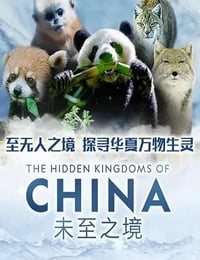 2019年美国纪录片《未至之境》全5集