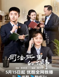 2025年国产大陆电视剧《司法所的故事》连载至06