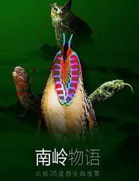 2021年国产大陆纪录片《南岭物语》全3集