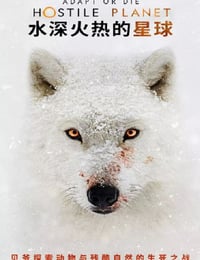 2019年美国纪录片《水深火热的星球》全6集