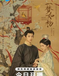 2025年国产大陆电视剧《一梦如初》连载至06