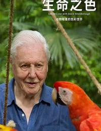 2021年英国纪录片《生命之色》全4集