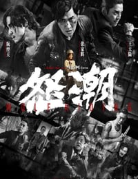 2023年国产犯罪动作片《怒潮》BD国语中字