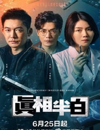 2025年国产大陆电视剧《真相半白》全25集