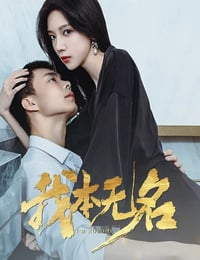 2025年国产大陆电视剧《我本无名》连载至08