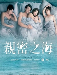 2025年中国台湾电视剧《亲密之海》连载至02