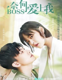 2022年国产大陆电视剧《奈何BOSS爱上我》全16集
