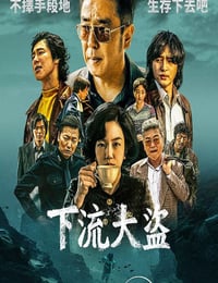 2025年韩国电视剧《下流大盗》连载至05